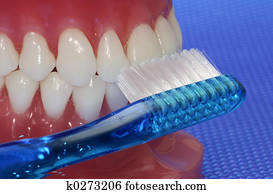 Oral Hygiene Oral Hygiene