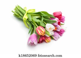 Posy of spring tulips flowers Posy of spring tulips flowers