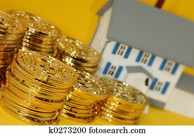 Real Estate Investment