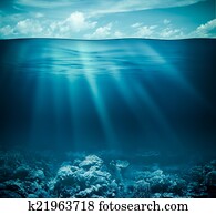 submarinas, recife coral, seabed, e, superfície água, com, céu