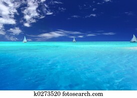 tropicais, divertimento