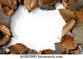 Autumn frame 1 Autumn frame 1