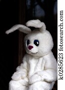 Easter Bunny Costume Easter Bunny Costume
