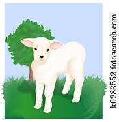 Little Lamb Little Lamb