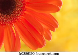 행복하다, colors!