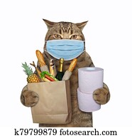 Cat in surgical mask with groceries Cat in surgical mask with groceries