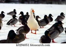 Do you STAND OUT from the crowd?