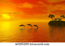 dolphins dolphins