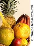fruit fruit