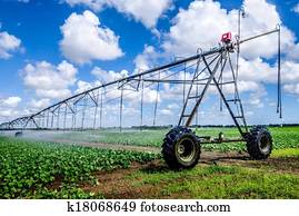 irrigação, de, terra cultivada