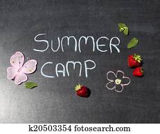 summer camp summer camp