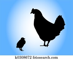 Chicken Chicken