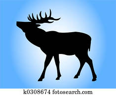 Deer Deer