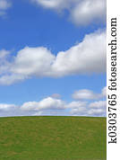 Grass and Sky