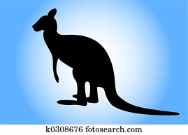 Kangaroo Kangaroo