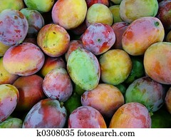 mango mango