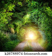 Tunnel of trees leading to light