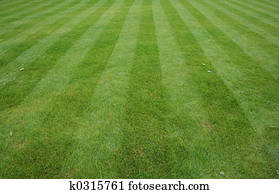 Lawn cut with stripes Lawn cut with stripes