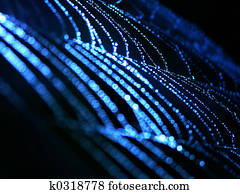spider web spider web