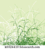 Foliage Foliage