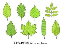 hand drawn set of green leaves hand drawn set of green leaves
