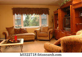 living room living room