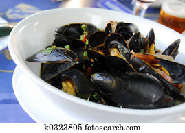 Mussels Mussels