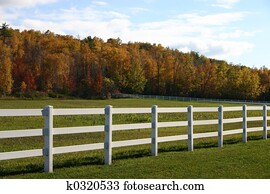 White Fence White Fence