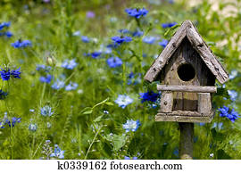 Birdhouse & Flowers Birdhouse & Flowers
