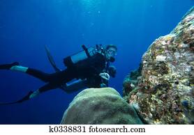 equipamento mergulho mergulhando