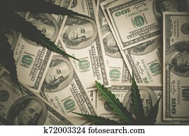 geld, und, marijuana pflanze, schließen, auf.