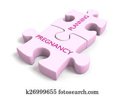 Pregnancy planning puzzle pieces Pregnancy planning puzzle pieces