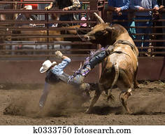Rodeo Bull Rider Rodeo Bull Rider