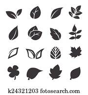 leaf icon leaf icon