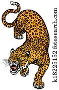 leopard leopard