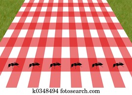 picnic picnic