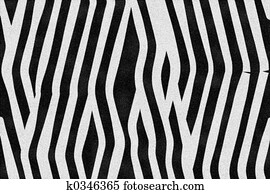 Zebra Stripes Zebra Stripes