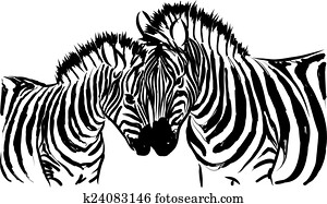 לבן שחור, zebra, דוגמה