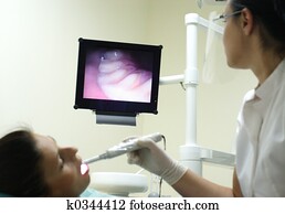 שיניים, ב, ה, הקרן