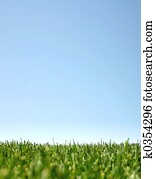 Blue sky and green grass:happyland