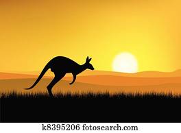 canguru, silueta