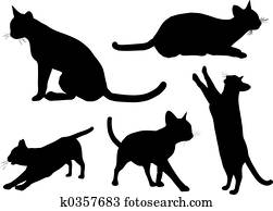 Cats Cats