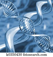 DNA strands DNA strands