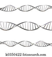 DNA strands DNA strands