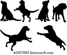 Dogs Dogs