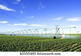 ferramenta cultivando