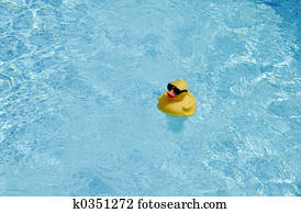 Pool Pool
