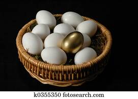 The Golden Egg