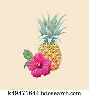 Watercolor vector pineapple fruit Watercolor vector pineapple fruit