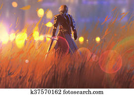 אביר, עם, חרב, ב, תחום